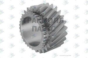 GEAR 6TH SPEED 24 T - 60532329