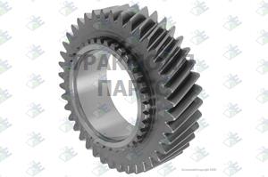 CONSTANT GEAR 40 T - 74530924