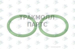 O-RING Г 242X3X302 - 74531045