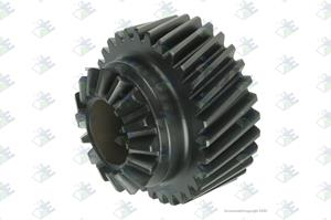 SPUR GEAR 31 T - 81170003