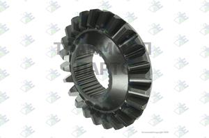 SIDE GEAR 24 T - 89170079