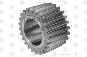 PLANETARY GEAR 24 T - 89170099