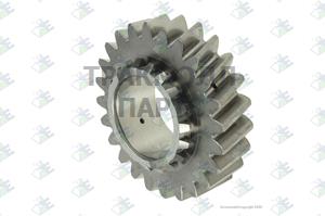 GEAR 5TH SPEED 24 T - 95530916