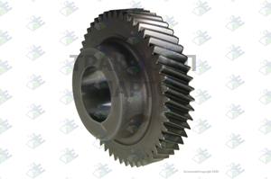 CONSTANT GEAR 50 T - 95533938