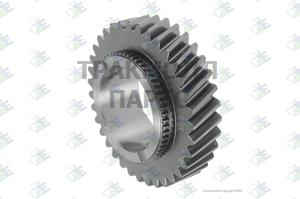 GEAR 3RD SPEED 35 T - 95535989