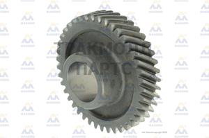 GEAR 6TH 41 T - 63022