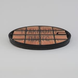 AIR FILTER SAFETY - P636759