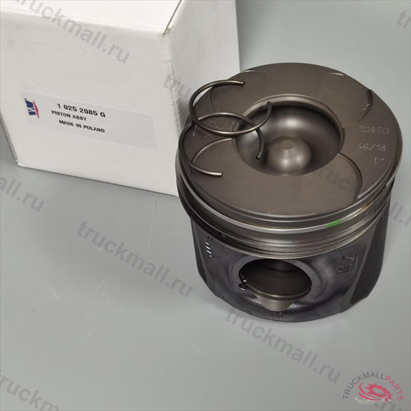 PISTON ASSY ПРЕД.НОМЕР10252086F - 10252085G