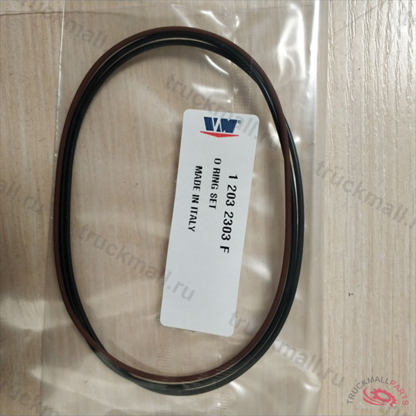 КОМПЛЕКТ УПЛОТНИТЕЛЬНЫХ КОЛЕЦ - 12032303F