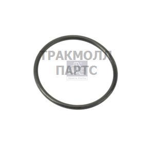 Уплотнительное кольцо круглого сечения - 1.24080