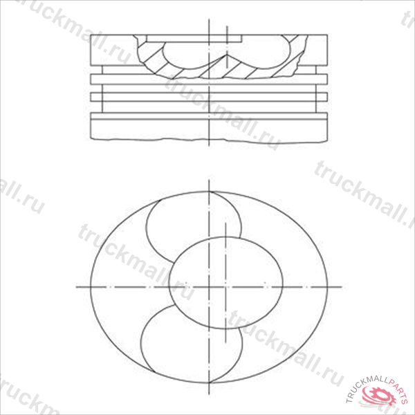 ПОРШЕНЬ - 209 59 00