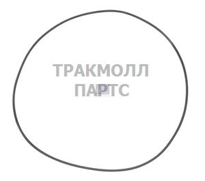 Уплотнительное кольцо круглого сечения - 3.10171