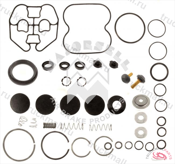 Р/к 4-х контурного защитного клапана AE48 - B66RK010A