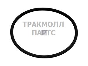 Уплотнительное кольцо круглого сечения - 4.20620