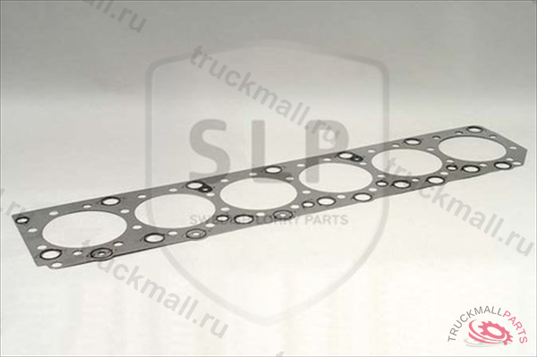 ПРОКЛАДКА ГОЛОВКИ БЛОКА - CHS100