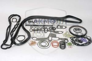 CONVERSION GASKET SET - CS-309