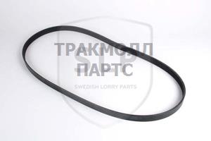 MULTI-RIB BELT - DB-184