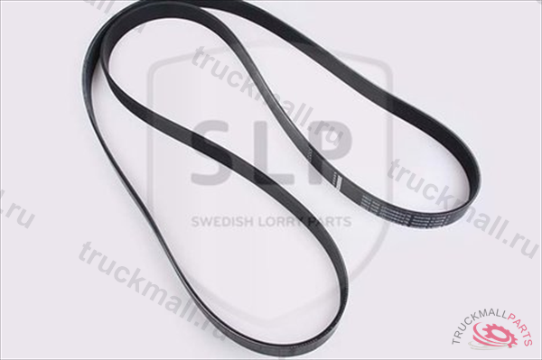 MULTI-RIB BELT - DB-800527