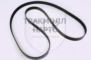 MULTI-RIB BELT - DB-800534