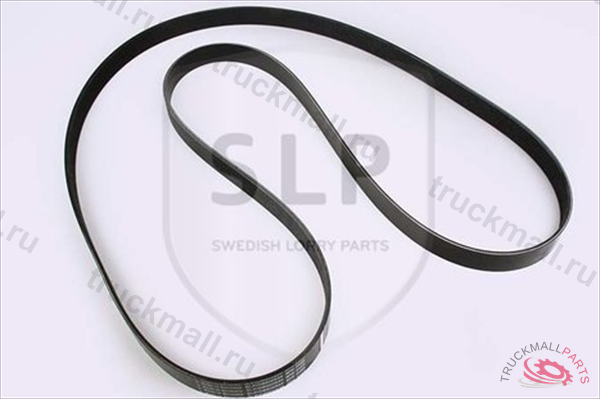 MULTI-RIB BELT - DB-800534