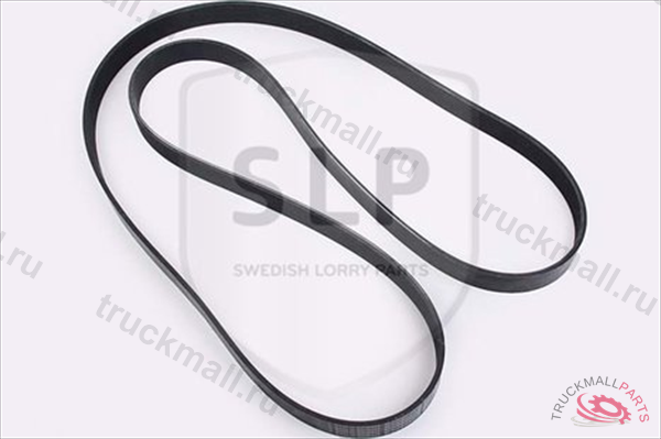 MULTI-RIB BELT - DB-800538