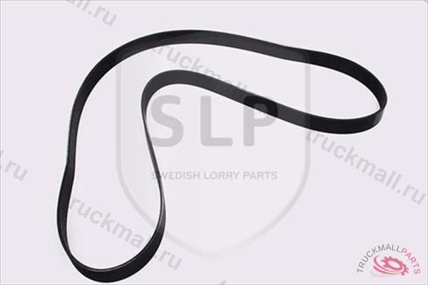 MULTI-RIB BELT - DB-800546