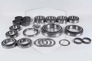 DROP BOX BEARING KIT - DBK-22501