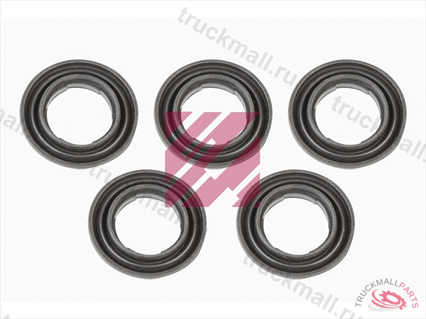 Комплект заглушек  KNORR SN5 M2910184 - M2910184