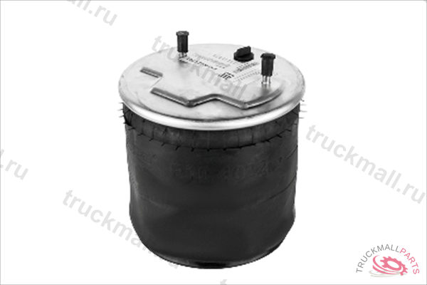 Подушка рессоры - P10.4022.CP03