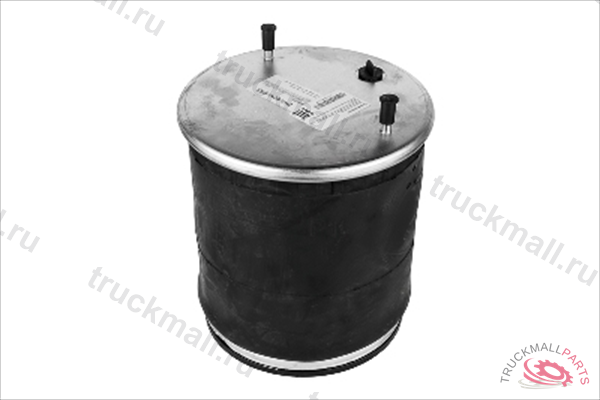 Пневморессора SAF о.н. 3228102700 P10.4810.C08 - P104810C08