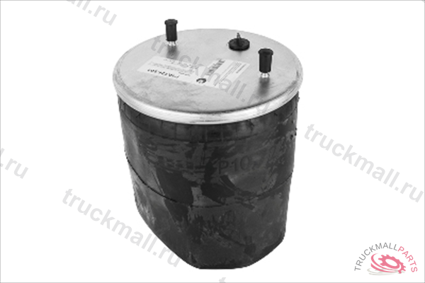 ПНЕВМОРЕССОРА - P10.724.S01