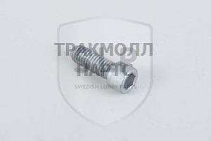 ALLEN SCREW - SKR-601